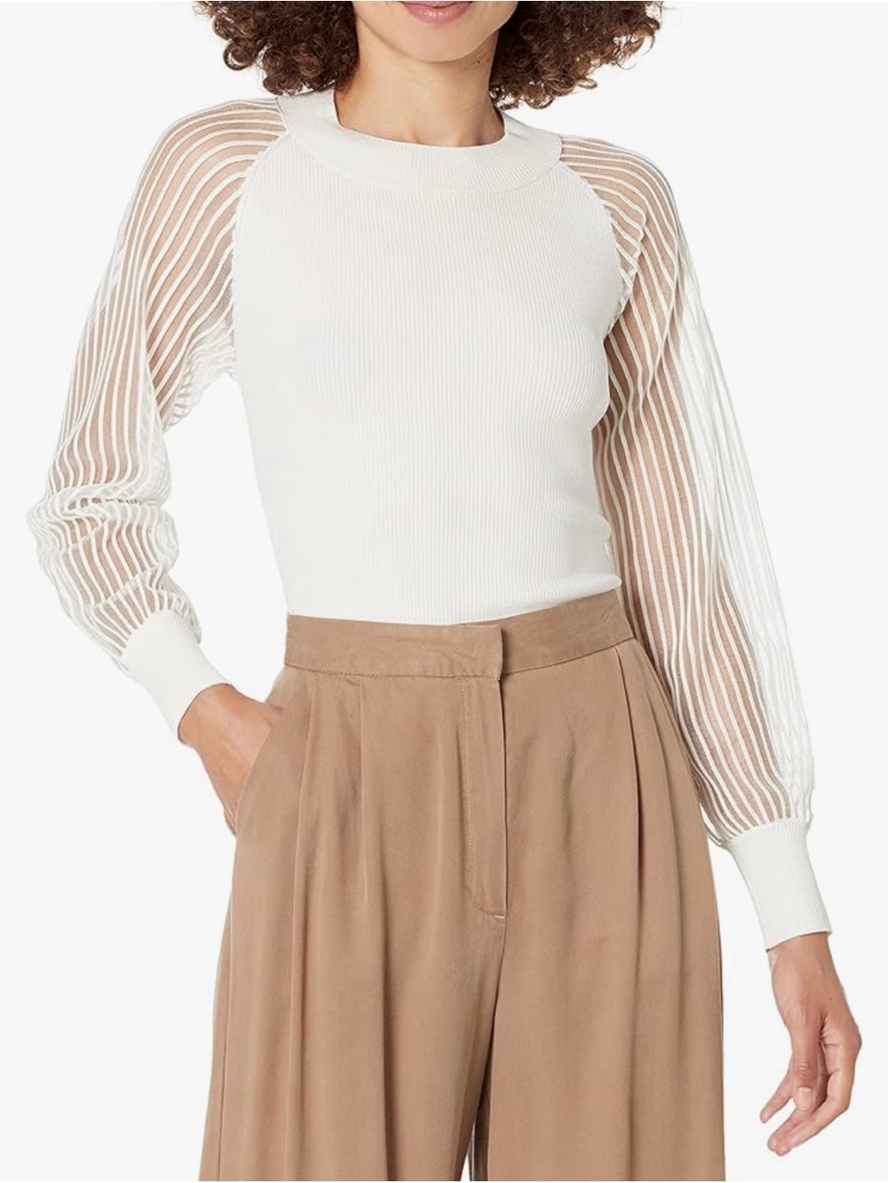 Club Monaco Sheer Sleeved Sweater